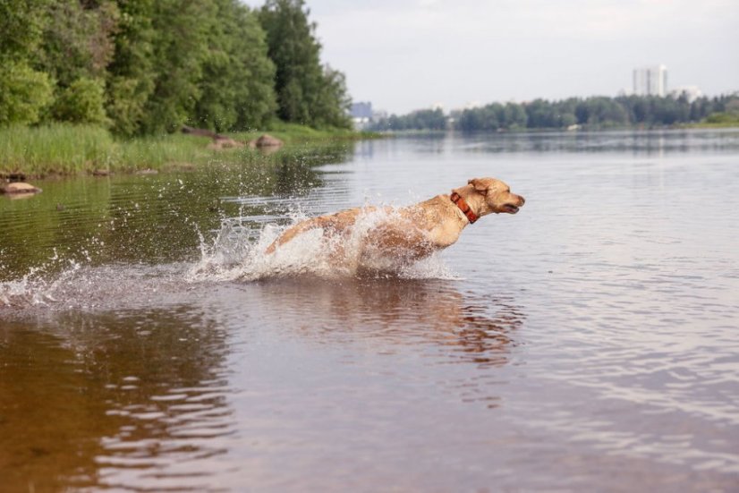 OBOJEK TERRACOTTA RIPPLE 4