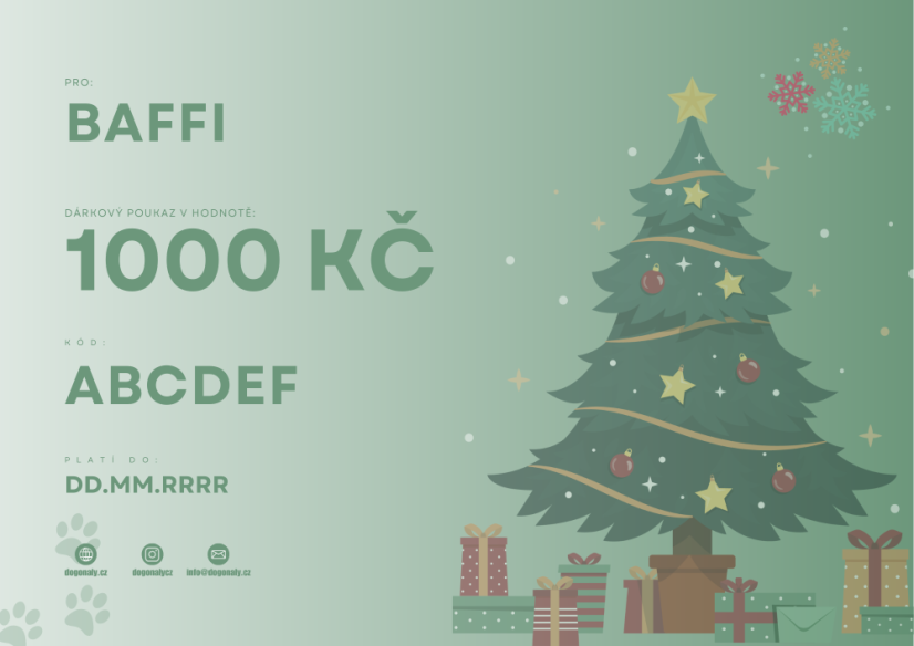 DÁRKOVÝ POUKAZ 1000 KČ