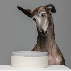 Swaggin Tails Miska KÄKA šedá