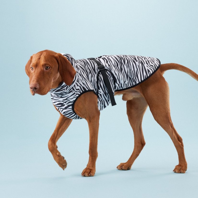 CHLADÍCÍ VESTA PROTI HMYZU S REPELTECEM 3