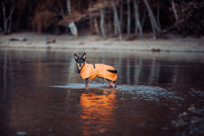 REGENERAČNÍ  REFLEXNÍ PLÁŠTĚNKA PAIKKA ORANŽOVÁ - Velikost: 55