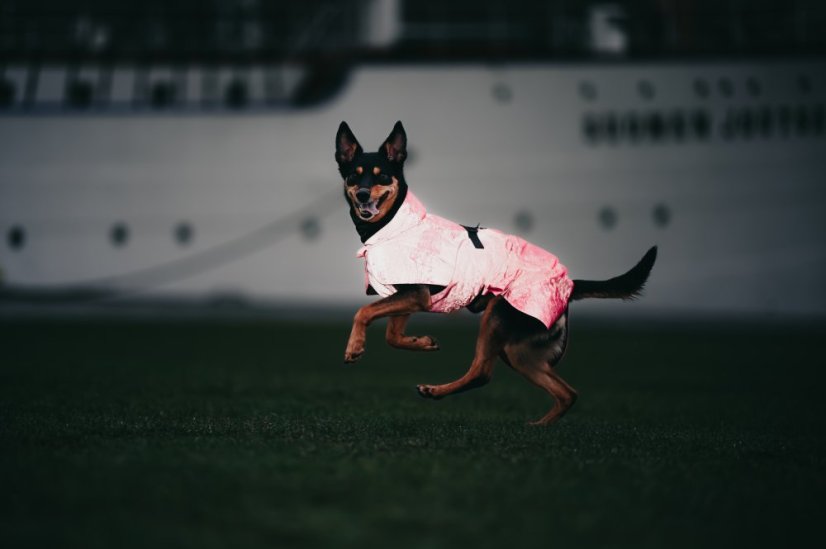 REFLEXNÍ PLÁŠTĚNKA PAIKKA RŮŽOVÁ LITE - Velikost: 60