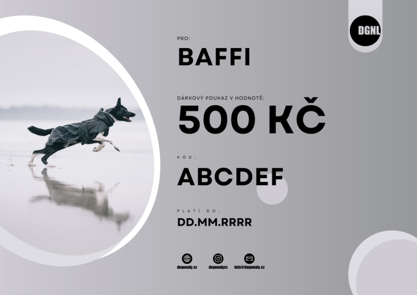 DÁRKOVÝ POUKAZ 500 KČ - Typ poukazu: Klasický