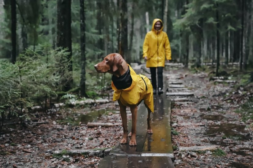 Žlutá pláštěnka pro psa PAIKKA 5