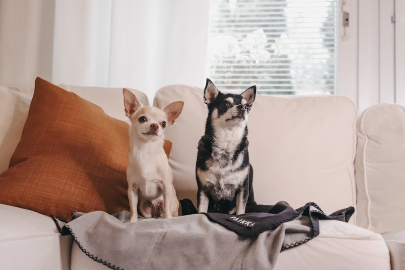 REGENERAČNÍ DEKA ČERNÁ