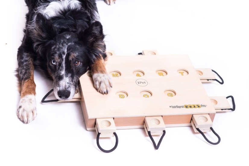 HLAVOLAM IPET SMART DOG MY INTELLIGENT DOGS - OBTÍŽNOST 3