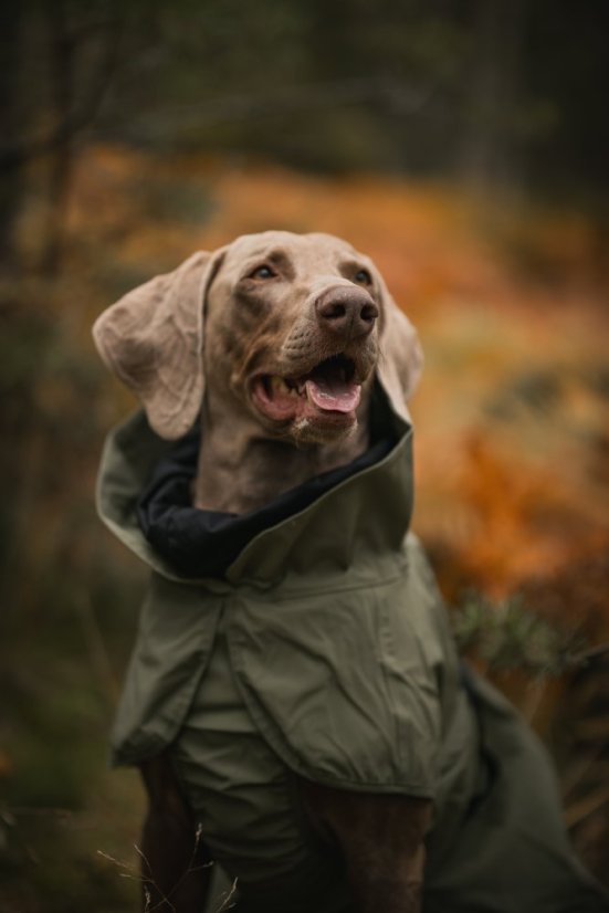 REFLEXNÍ PLÁŠTĚNKA PAIKKA ZELENÁ - Velikost: 50