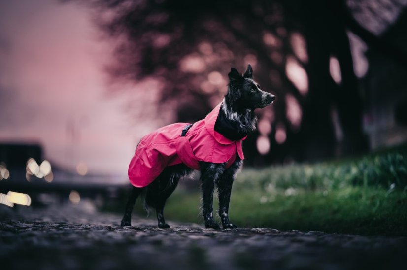 REFLEXNÍ PLÁŠTĚNKA PAIKKA RŮŽOVÁ LITE - Velikost: 60