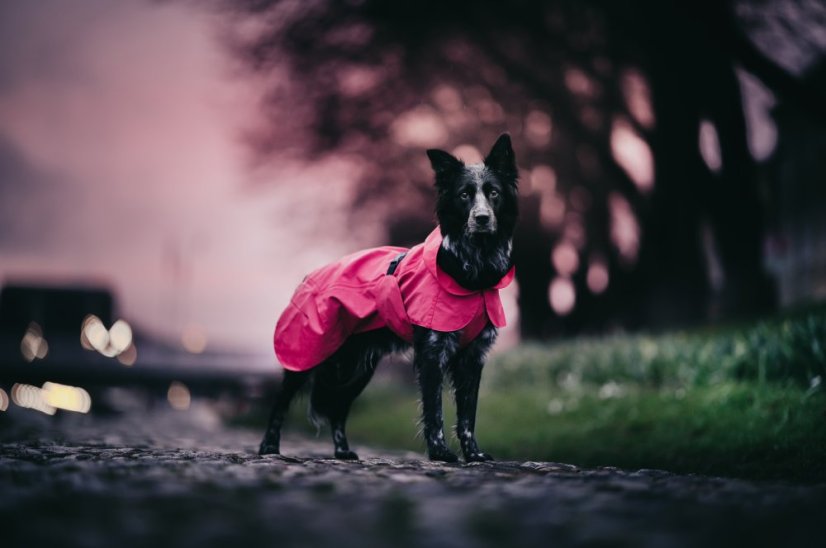 REFLEXNÍ PLÁŠTĚNKA PAIKKA RŮŽOVÁ LITE - Velikost: 60