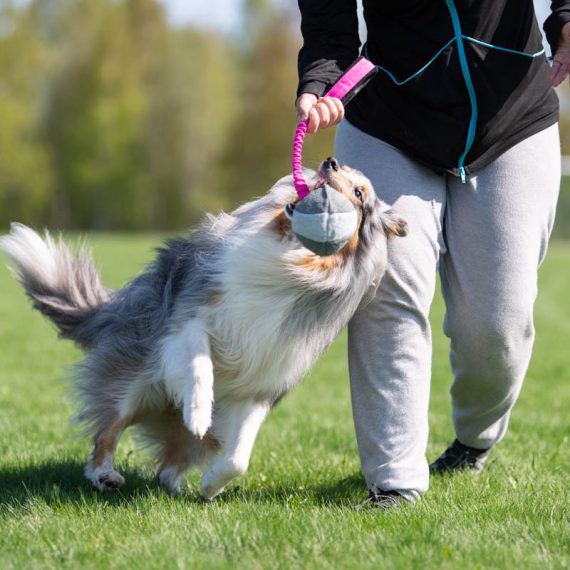 BUNGEE CHEEWIE - Barva: Růžová/černá