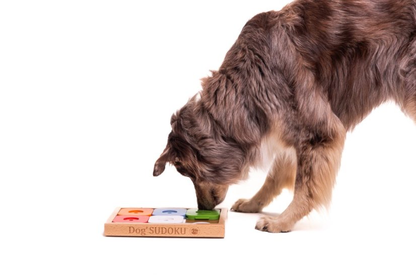 SUDOKU MEDIUM MY INTELLIGENT DOGS ADVANCED BAREVNÉ - OBTÍŽNOST 2