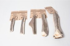 JELENÍ PAROŽÍ ČTVRTKA