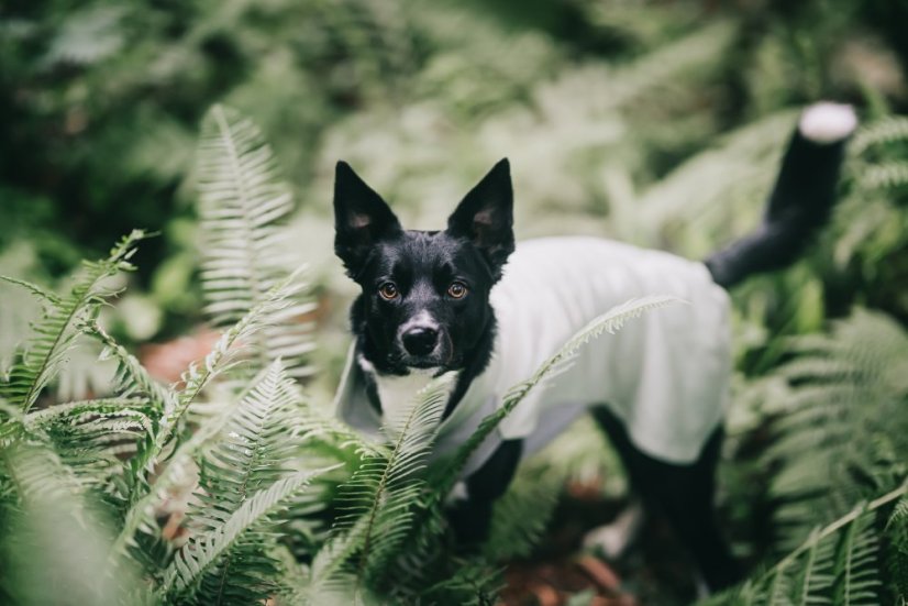 ZIMNÍ REGENERAČNÍ OBLEČEK ZELENÝ - Velikost: 30