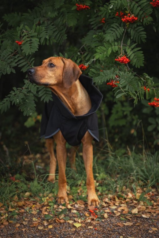 REGENERAČNÍ SOFTSHELLOVÝ OBLEČEK PAIKKA - Velikost: 40