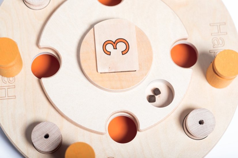 HLAVOLAM NAROZENINOVÝ DORT MY INTELLIGENT DOGS - OBTÍŽNOST 4