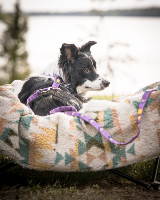 VODÍTKO NORTHERN LIGHTS