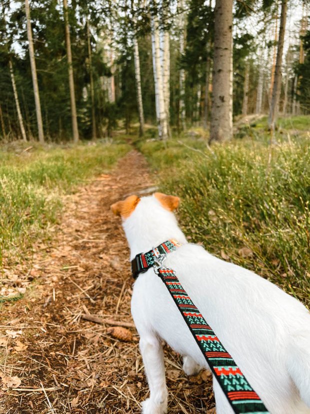 VODÍTKO WOODLAND