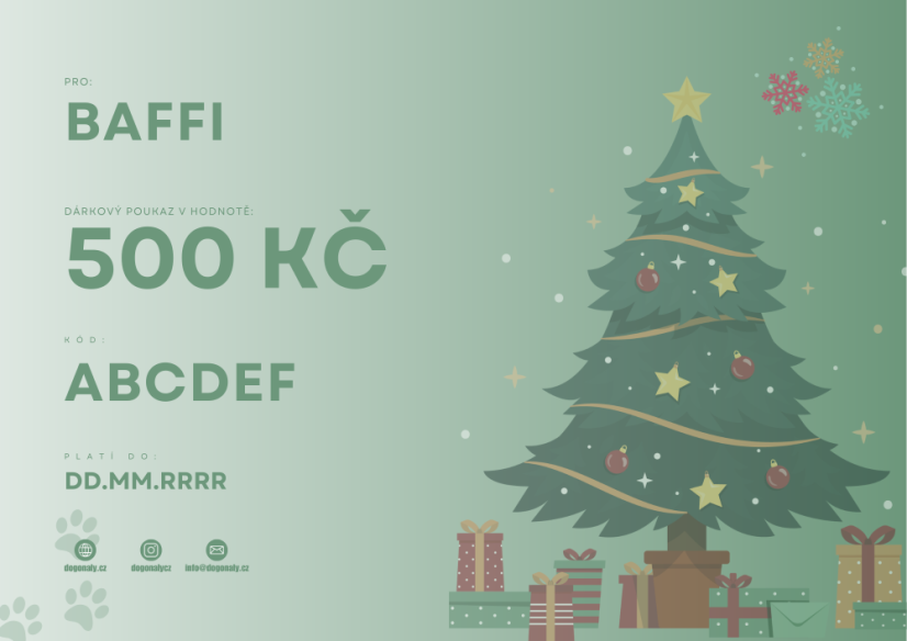 DÁRKOVÝ POUKAZ 500 KČ
