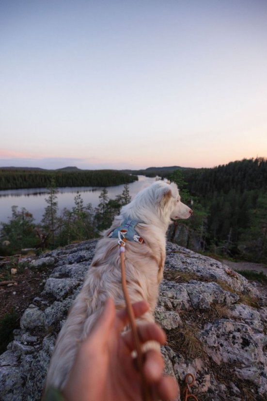 POSTROJ GLACIER GREEN MIX 16