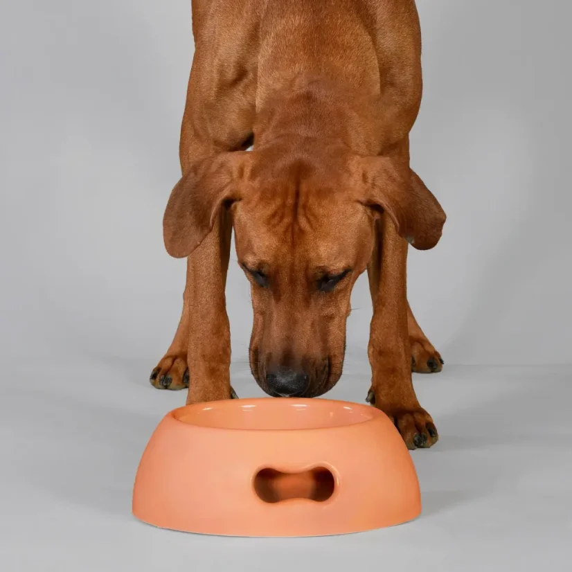 NEZNIČITELNÁ EKO-FRIENDLY MISKA PRO PSY ORANŽOVÁ - Objem: L (2200 ml)