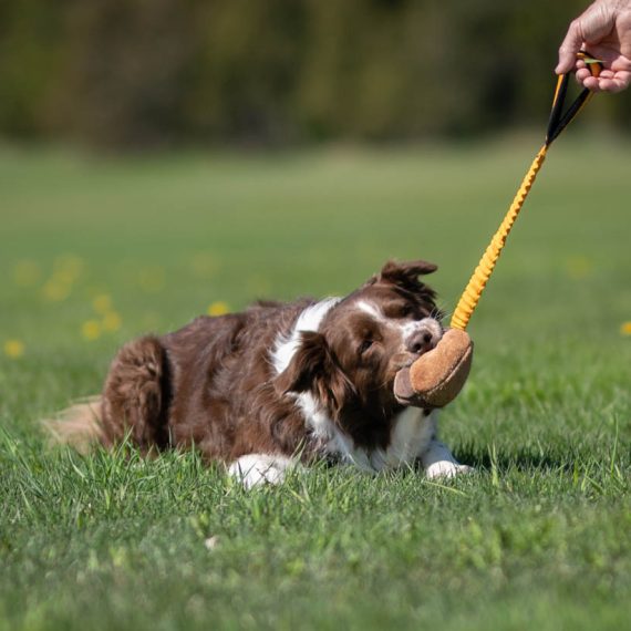 BUNGEE CHEEWIE - Barva: Růžová/černá