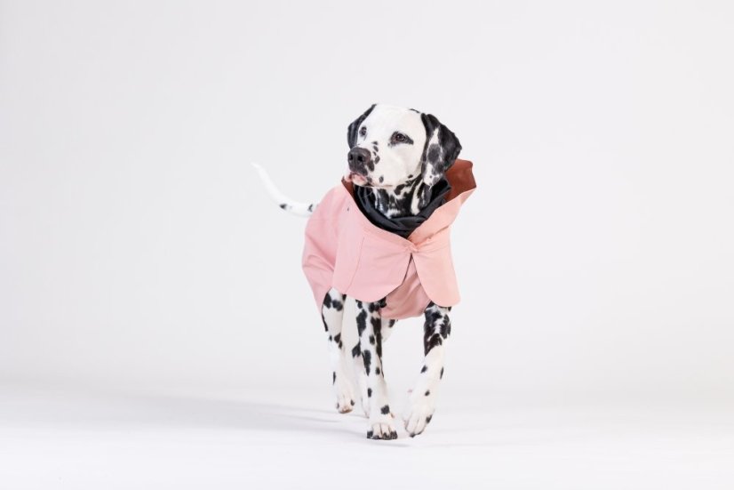 REFLEXNÍ PLÁŠTĚNKA PAIKKA LITE ROSE - Velikost: 60