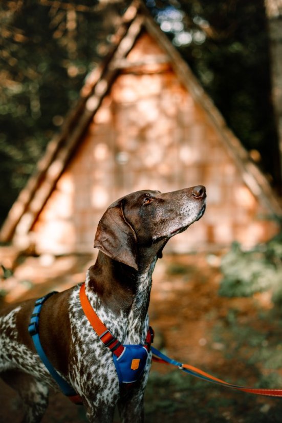 POSTROJ LIME MIX - Vyberte velikost: M