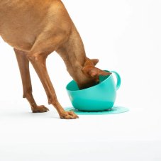 VYVÝŠENÁ EKO MISKA BLANKYTNÁ