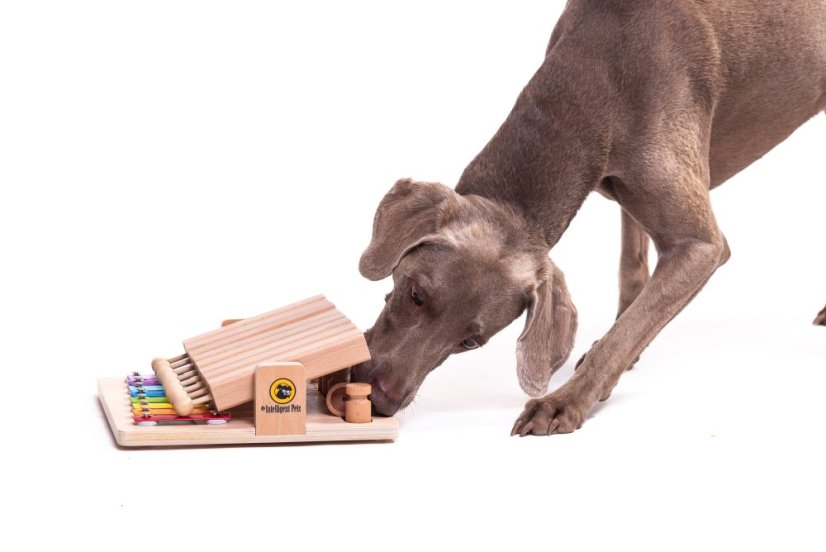 HLAVOLAM PIANO MY INTELLIGENT PETS - OBTÍŽNOST 4