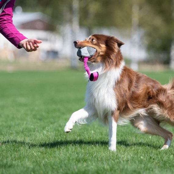 BUNGEE CHEEWIE - Barva: Růžová/černá