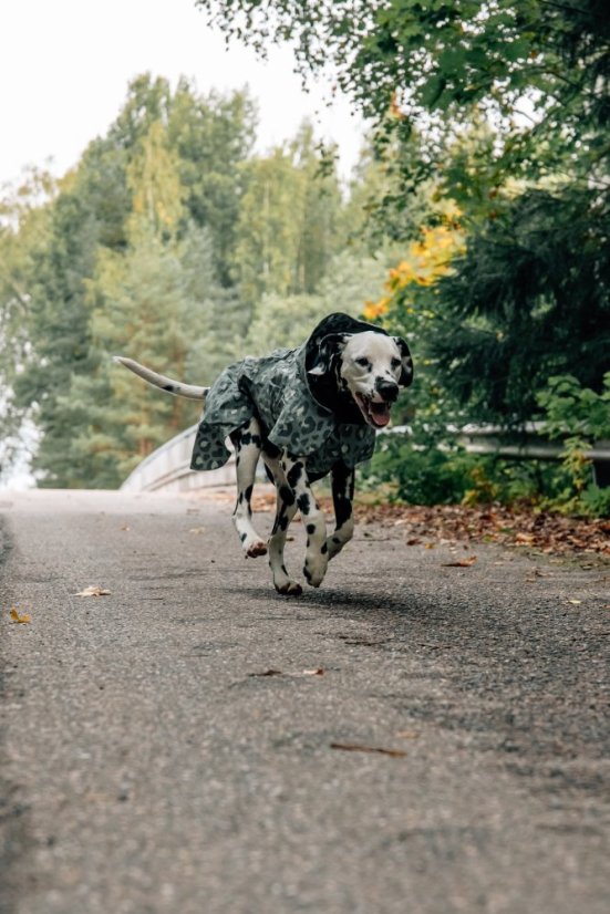 REFLEXNÍ PLÁŠTĚNKA PAIKKA GREEN LEO - Velikost: 30