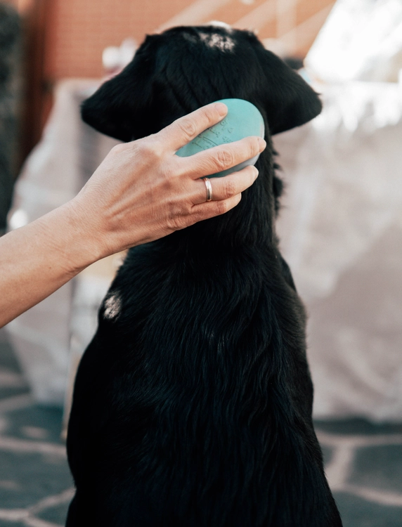 KARTÁČ PRO PSY RETORN