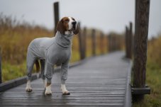 REGENERAČNÍ OVERAL PAIKKA