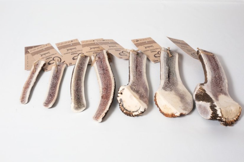 PŮLENÉ JELENÍ PAROŽÍ - Varianta:: XS