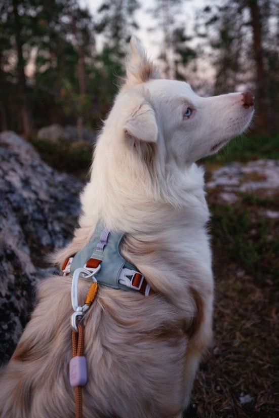 POSTROJ GLACIER GREEN MIX 9