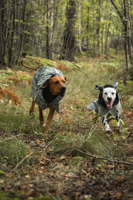 REFLEXNÍ PLÁŠTĚNKA PAIKKA GREEN LEO - Velikost: 30