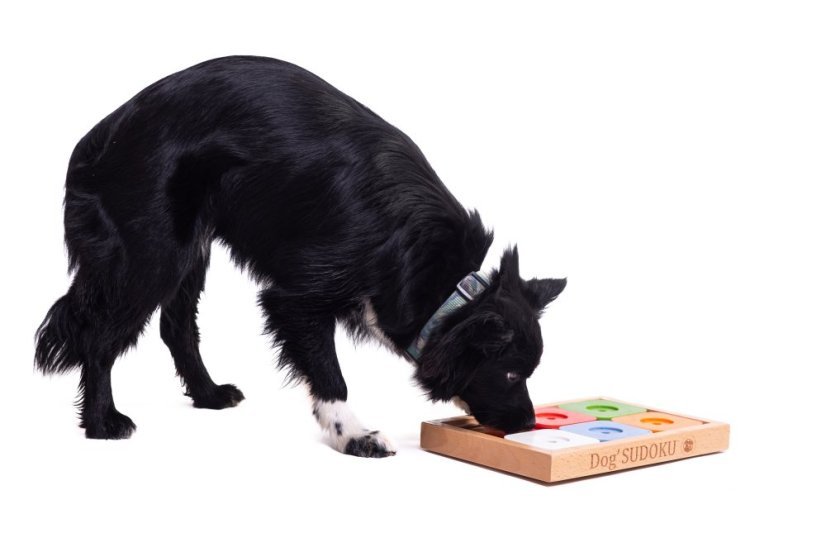 SUDOKU MEDIUM MY INTELLIGENT DOGS ADVANCED BAREVNÉ - OBTÍŽNOST 2