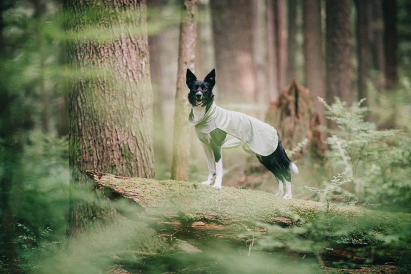 ZIMNÍ REGENERAČNÍ OBLEČEK ZELENÝ - Velikost: 30