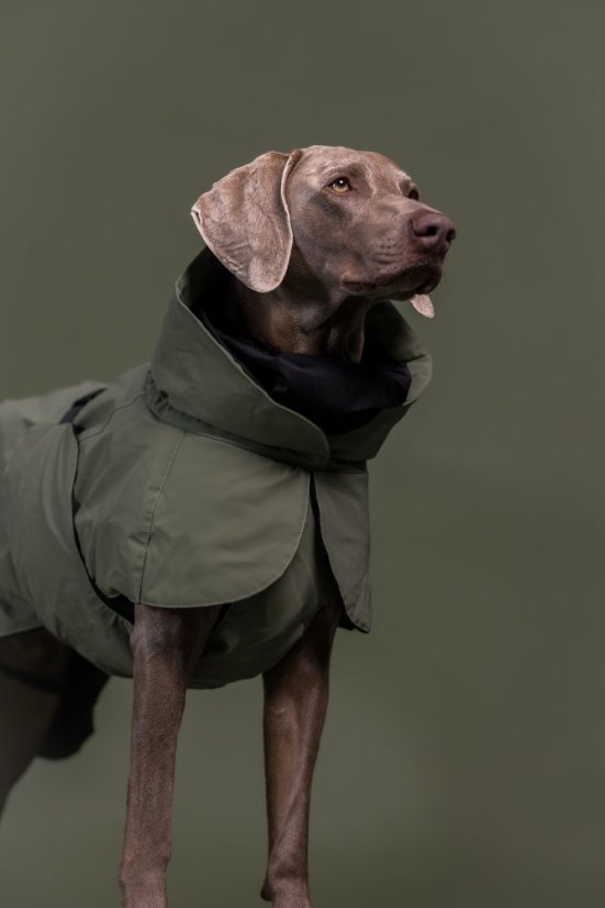 ZIMNÍ REFLEXNÍ BUNDA PAIKKA WOOL GREEN - Velikost: 35