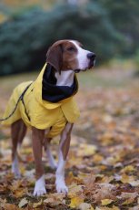 Žlutá pláštěnka pro psa PAIKKA 8