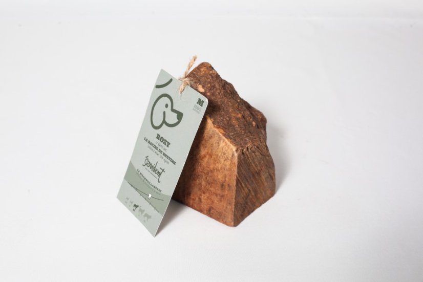 KOŘEN STROMU - Varianta:: S