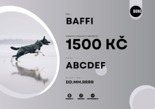 DÁRKOVÝ POUKAZ 1500 KČ