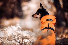 REGENERAČNÍ  REFLEXNÍ PLÁŠTĚNKA PAIKKA ORANŽOVÁ