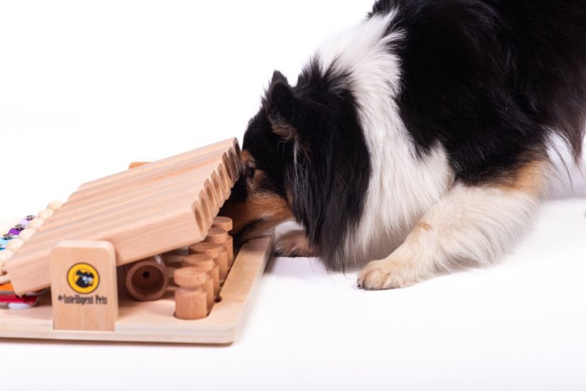 HLAVOLAM PIANO MY INTELLIGENT PETS - OBTÍŽNOST 4