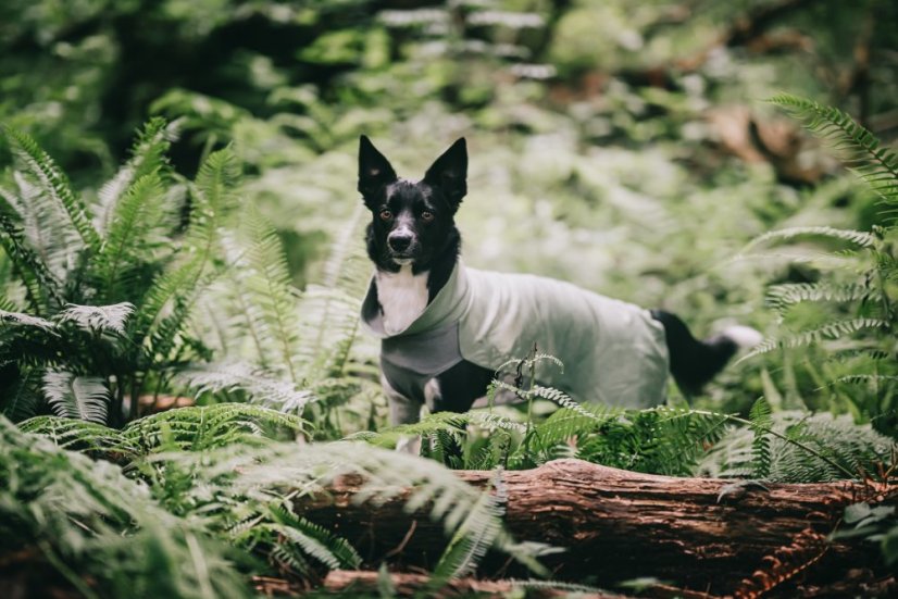 ZIMNÍ REGENERAČNÍ OBLEČEK ZELENÝ - Velikost: 30