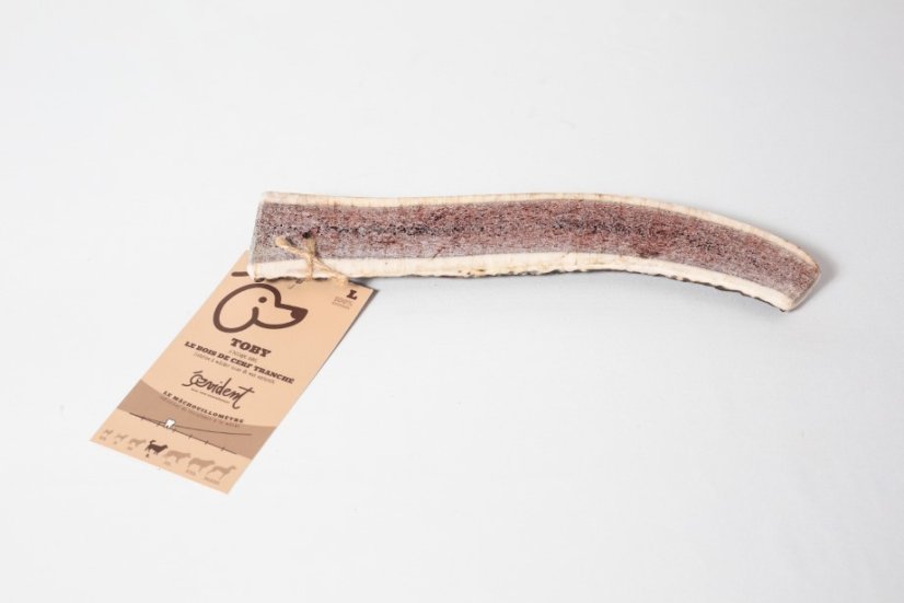 PŮLENÉ JELENÍ PAROŽÍ - Varianta:: XS