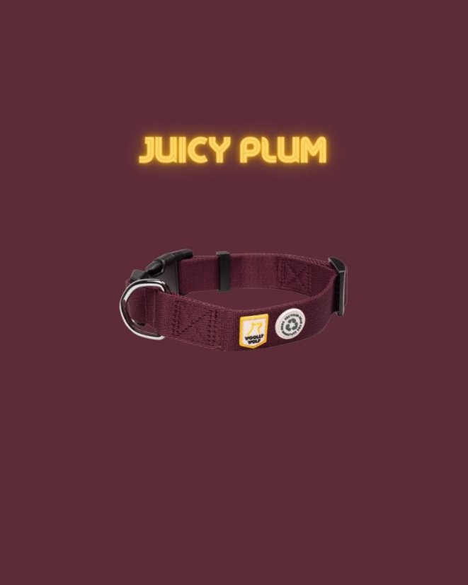 OBOJEK JUICY PLUM - Velikost obojku: 25 - 35
