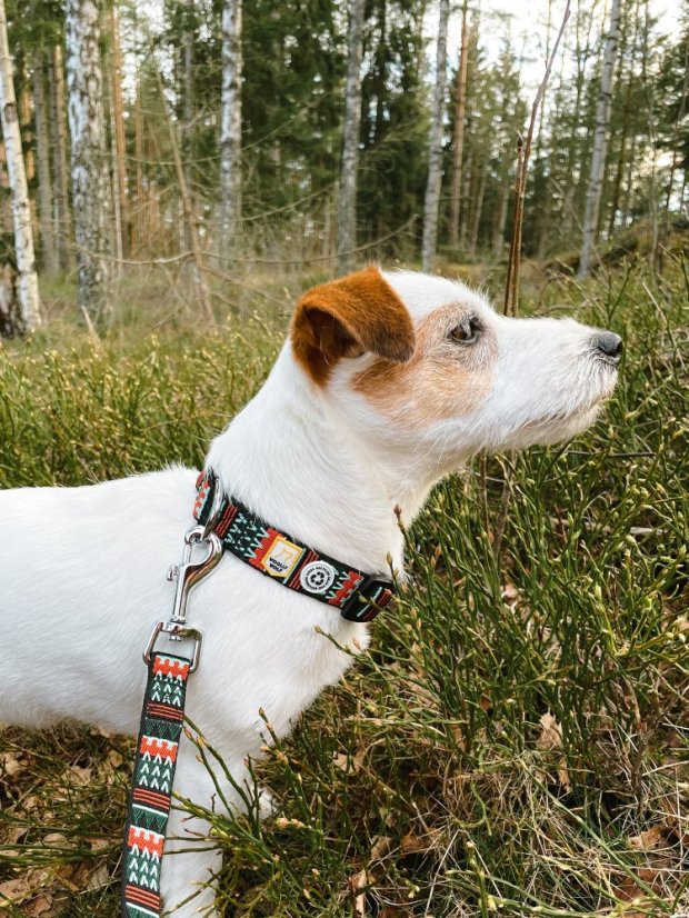 OBOJEK WOODLAND