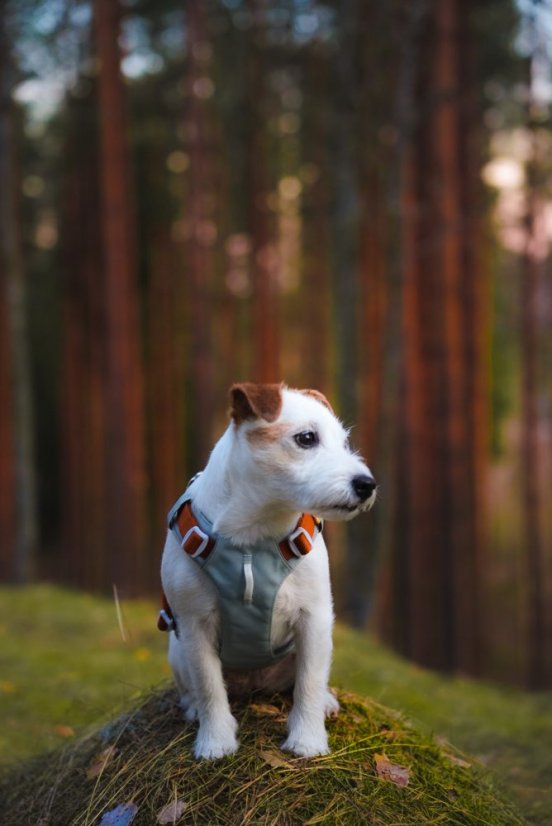 POSTROJ GLACIER GREEN MIX 14