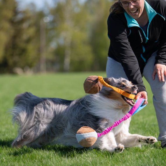 BUNGEE CHEEWIE - Barva: Růžová/černá